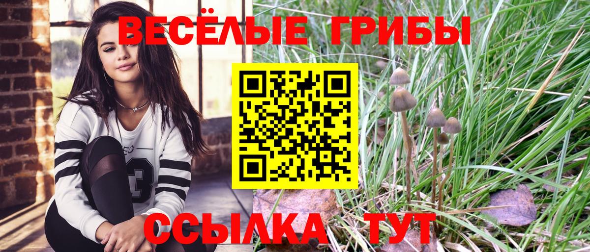 Псилоцибиновые грибы Psilocybine cubensis  Вход с VPN  Белорецк  Псилоцибиновые грибы прущие грибы 